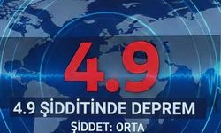 Erzincan'da 4.9’luk Sarsıntı Bilime Ne Söyledi