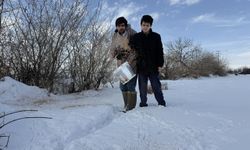 Erzincan’da Duyarlı Çiftçi Kışın Yabani Kuşları Yalnız Bırakmıyor