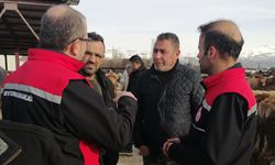 Erzincan’da Kesimhanelerde “Yağsız Kesim” Dönemi Başladı