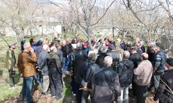 Erzincan’da Meyve Ağaçları İçin Budama Eğitimi