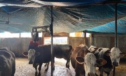 Kemah’ta Dayanışma Üretimi Ayağa Kaldırdı