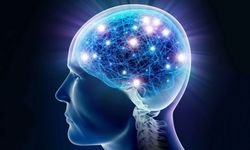 Kötü Ağız Sağlığı Beyin Hacmini Hızlandırıyor: Yeni Araştırma Uyarıyor