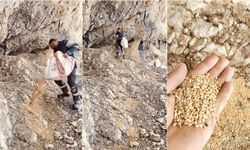 Köy Muhtarından Yaban Hayvanları İçin Örnek Davranış