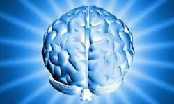 Şükretmek Beyni Yeniden Programlıyor mu? Minnettarlığın Nörobilimsel Etkileri