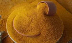 Protein Sandığımız Masum Değil mi?