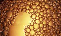 Zehir mi Şifa mı? Bir Bitkiden Doğan Nano Dünyanın Sınırları