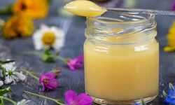Arı Sütü Alzheimer’ın Ateşini Söndürebilir mi?