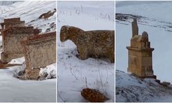 Başköy’de Tarihin Sessiz Tanıkları (VİDEO)