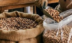 Çöp Sandık, Değer Çıktı!