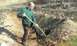 Erzincan Bağlarında Verim Artışı İçin Kritik Uyarı
