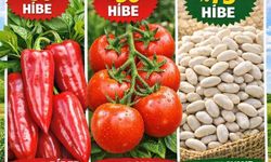 Erzincan’da Çiftçiye Hibe Fırsatı!