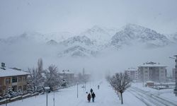Hafta Sonu Erzincan'da Kar Ve Sis Kapıda