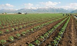 Erzincan’da Çiftçilere Başvuru Müjdesi