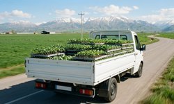 Üretim yapan çiftçiler için zorunlu, başvurmayana ceza var!
