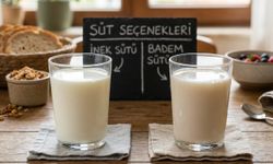 Kahve Formülasyonunda Bitkisel Süt Kullanımının Duyusal ve Kimyasal Açıdan Değerlendirilmesi