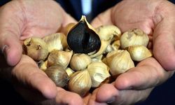 Mutfaktaki "Şifa" Zehre mi Dönüşüyor?