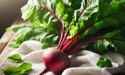 Ohmik Isıtma ile Doğal Pigment Ekstraksiyonunda Yeni Yaklaşım