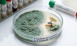 Tarımda Kimyasal Devri Kapatacak "Görünmez" Ortaklık!