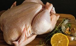 Tavuk Etini Daha Güvenli Hale Getirmenin "Canlı" Yolu