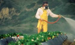 Toprağın Görünmeyen Tehdidi: Ağır Metaller ve Bitkisel Üretim