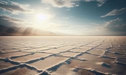 Tuz Stresine Dayanıklı Bitkilerin Sırrı Araştırılıyor