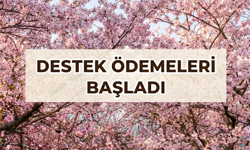 Erzincanlı Çiftçilere Müjde: Destek Ödemeleri Başladı