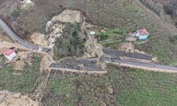 Doğanın Sessiz Gücünün Röntgeni Çekildi