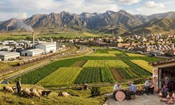 Erzincan Ekonomisinin Dünü ve Bugünü: Tarımın Kalbinden Sanayi Hamlesine