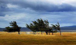 Erzincan’da şiddetli fırtına kapıda