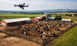 Erzincan’da Yatırımcıya KKYDP Çağrısı