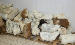 Erzincan’ın Lezzeti Sınırları Aşıyor