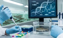 Hücredeki Şifre Çözüldü: Alabalıkların "Büyüme Potansiyeli" Artık Genlerinde Gizli Değil!