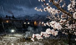 Kar yağmaya başladı bile: Erzincan'da zirai don alarmı!