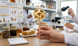 Propolisli Lolipop: Ağız sağlığında "DOĞAL" devrim!