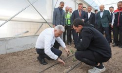 Binali Yıldırım’dan Erzincan Toplu Sera Bölgesi’ne Yakın Takip