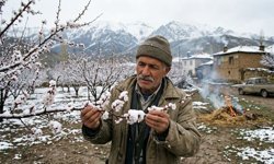 Hafta sonu kar bekleniyor: Erzincan'da zirai don alarmı!