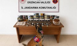 Erzincan'da DEAŞ ve narkotik operasyonu