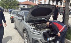 Anne Kedi Gelince Saklandığı Yerden Çıktı (VİDEO)