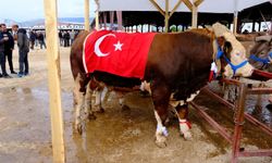 Hayvan Pazarı’nda Bayram Bereketi