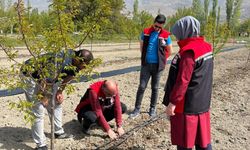 Üzümlü’de Yeni Üretim Modeli