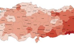 Türkiye'nin Gençlik Portresi: 12,7 Milyon Genç, Dünya Ortalamasının Altında!