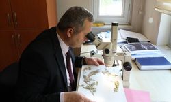 62 Ciltlik Devrim! Anadolu’nun 12 Bin Bitkisi Artık Kendi Dilinde Konuşacak