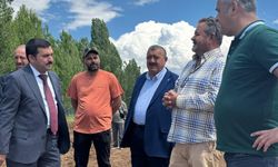 Afrika Kökenli Fil Otu Denemeleri Başladı