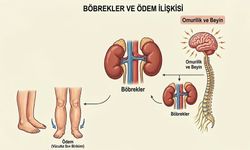 Sinir ve Kalbi Etkileyen Hastalık: Beriberi
