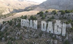 Doğayı Korumak İçin Ergan Dağı’nda Yeni Stratejiler Şart