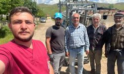 Tercan’da Büyükbaş Hayvanlara Tırnak Bakımı ve Küpeleme Hizmeti