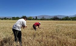 Erzincan’da Arazi Değerini Belirleyen Sır