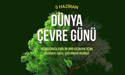 Erzincan’da Çevre Günü Farkındalığı