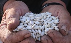 KUDAKA’dan Erzincan’a Destek: Fasulye Projesi Onaylandı