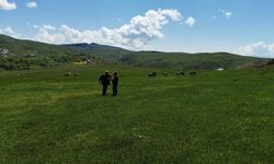 Ağılözü Meralarında Islah Çalışması